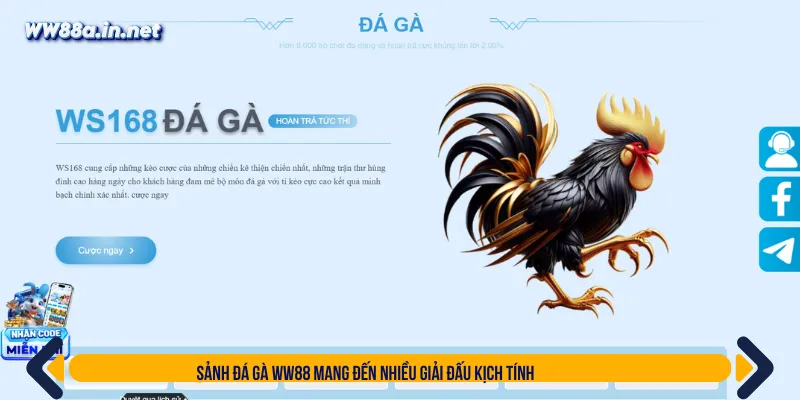 Đá gà trực tuyến vượt trội với loạt trường đấu khủng