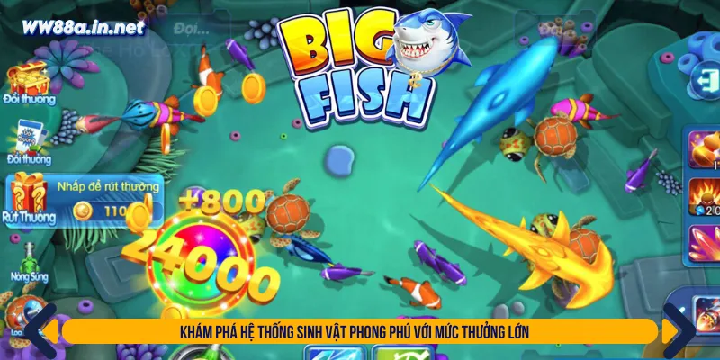 Hệ thống sinh vật biển mang giá trị thưởng lớn