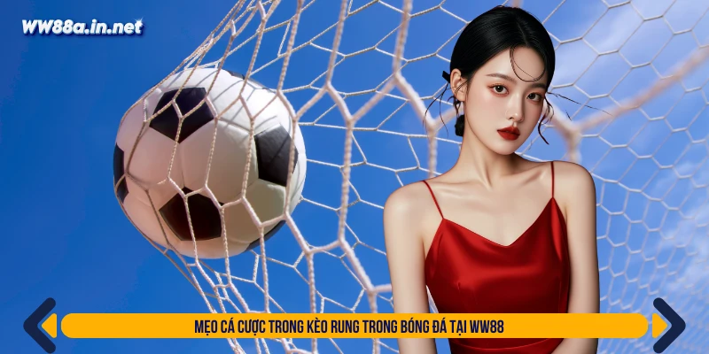 Mẹo cá cược trong kèo rung trong bóng đá tại WW88