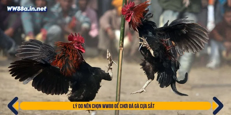 Sảnh game sở hữu nhiều ưu điểm thu hút người chơi