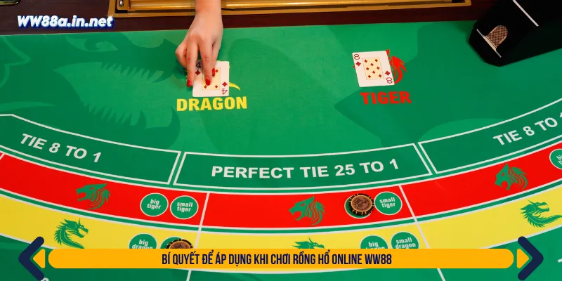 Tận dụng các bí kíp để chơi rồng hổ online WW88 dễ dàng